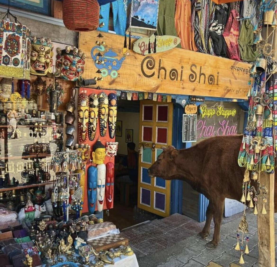 Leh Ladakh Adventure trip photo