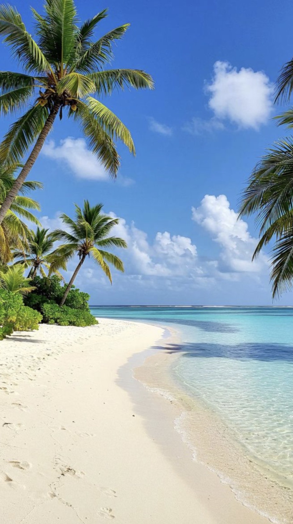 Lakshadweep Unveiled trip photo